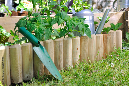 outil de jardinage et plants de tomates dans carré potager