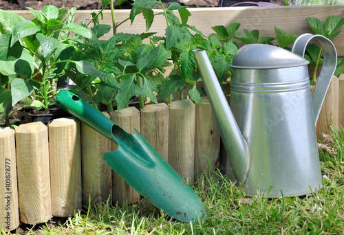 plantoir et arrosoir dans carré potager  photo