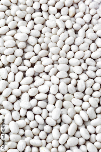 full frame of white beans.