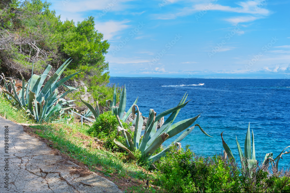 Fototapeta premium Panorama marino estivo in Croazia