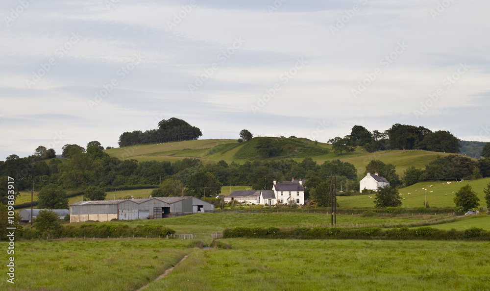 Rolling Hills. Rolling green hills dotted with sheep are easily found in Wales. A rural homestead, typically for Wales, painted white and an evening sky that looks like it has been painted.