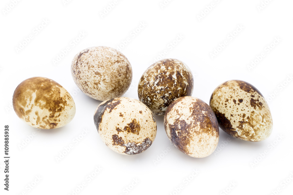 Quail eggs the isolated on a white background. Quail eggs the isolated on a white background.