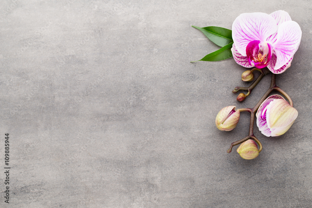 Spa orchid theme objects on grey background. Spa orchid theme objects on grey background.