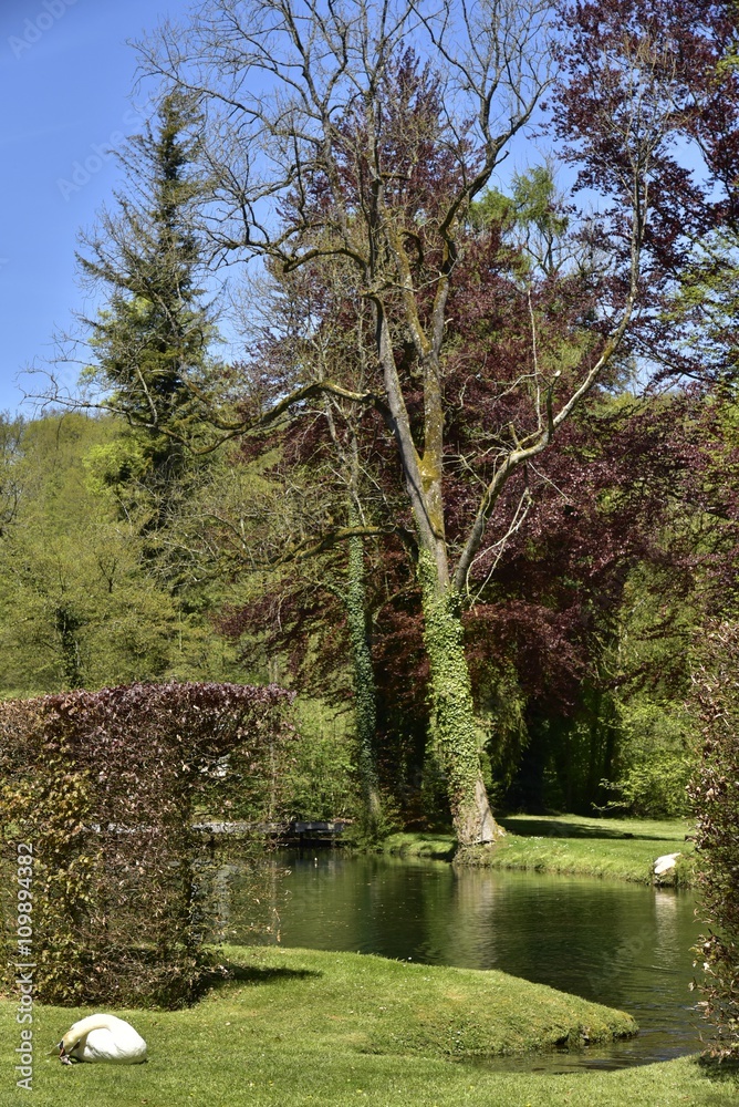 La nature luxuriante au printemps aux Jardins d'Eau d'Annevoie La nature luxuriante au printemps aux Jardins d'Eau d'Annevoie