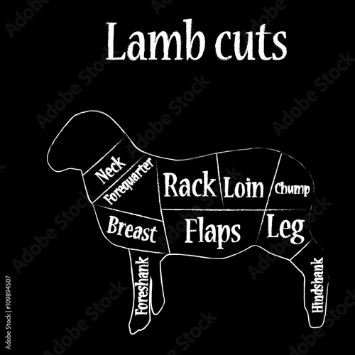 Lamb cuts vector