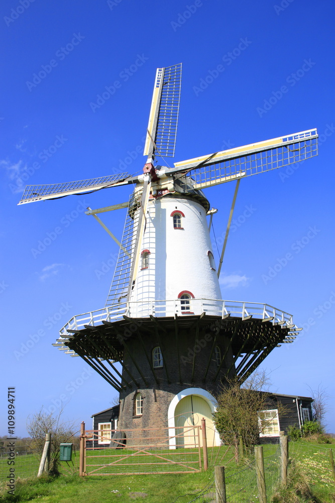 Eine Windmühle bei Veere