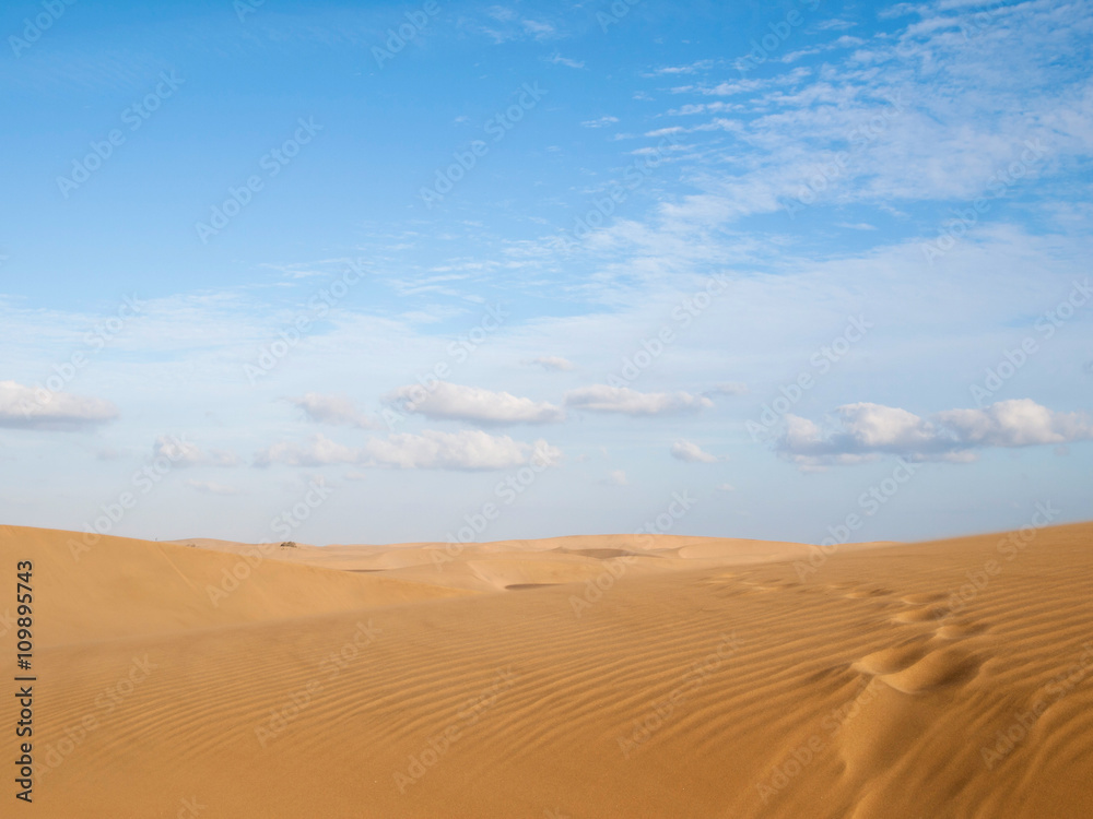 Dunes of Maspalomas - protected landscape area in Canary Island Dunes of Maspalomas - protected landscape area in Canary Island