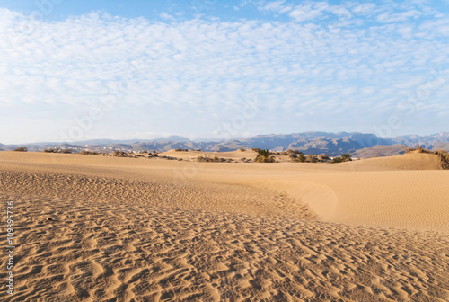 Dunes of Maspalomas - protected landscape area in Canary Island