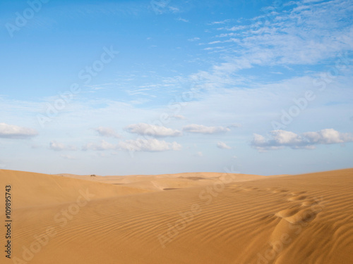 Dunes of Maspalomas - protected landscape area in Canary Island