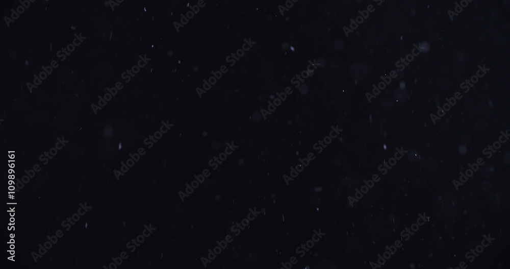 snow like particles flying over black background