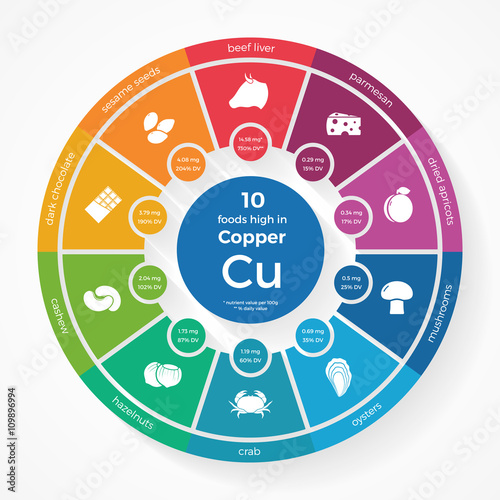 10 foods high in Copper. Nutrition infographics. Healthy lifestyle and diet vector illustration with food icons.