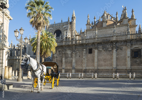 Coche de caballos - Sevilla