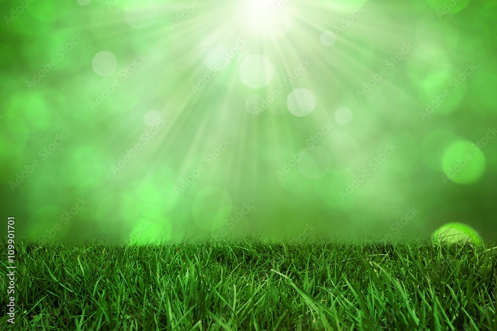 Obraz premium Composite image of lawn 