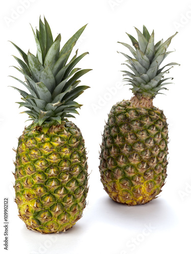 Two Pineapples on White © Dan Kosmayer