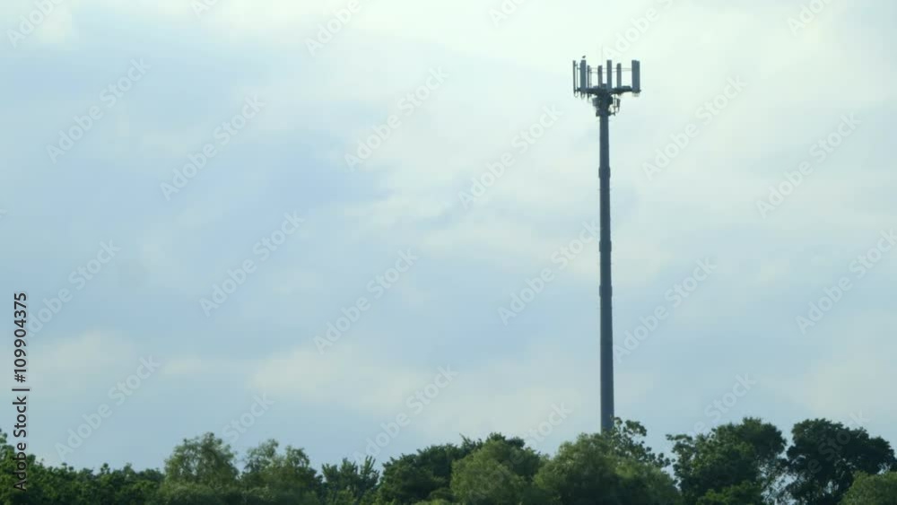 A cell phone tower looms high above treetops that are being tossed by windy spring weather. A cell phone tower looms high above treetops that are being tossed by windy spring weather.
