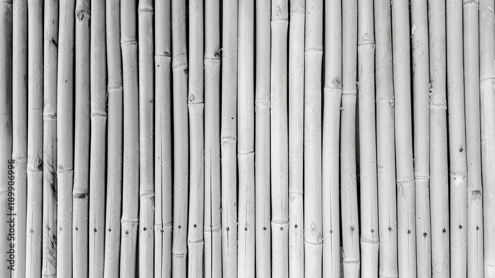 Bamboo background Bamboo background