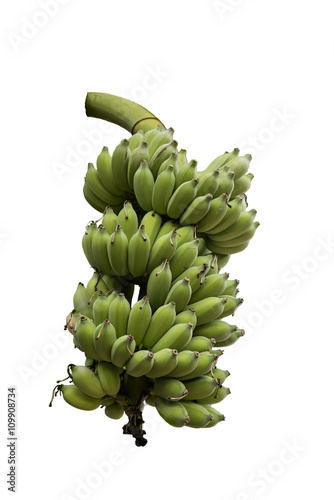 green banana on white background © sueb9872