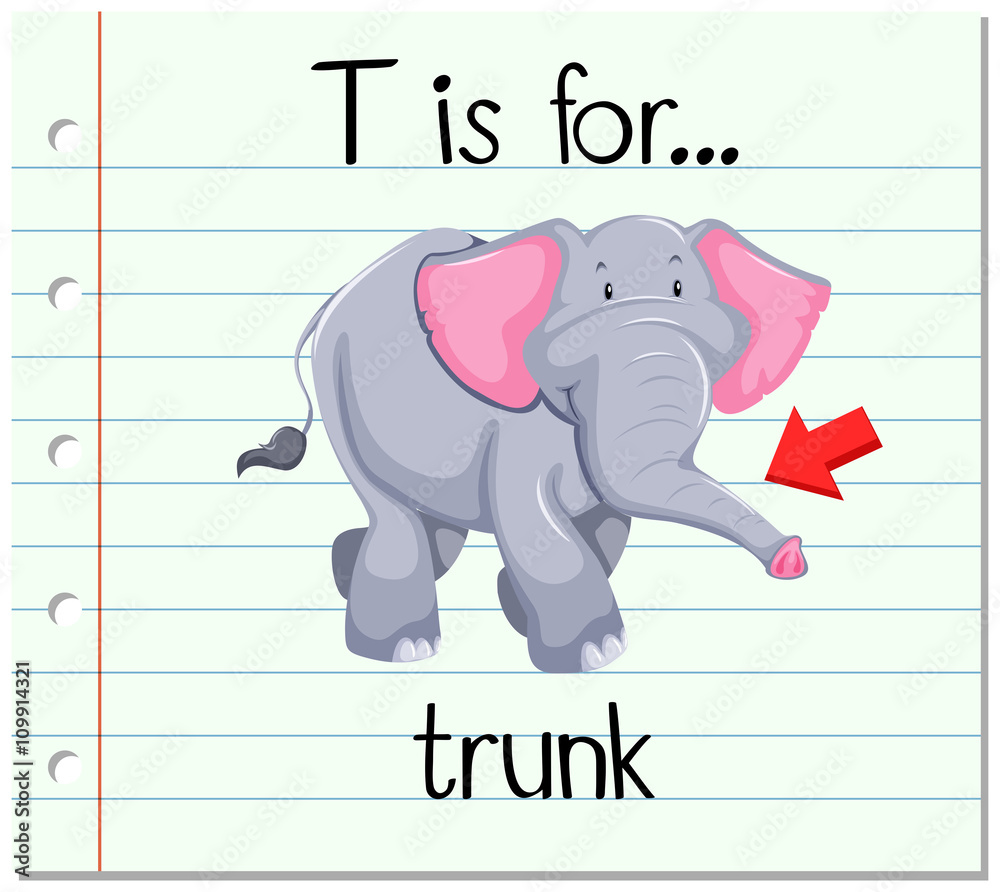 Obraz premium Flashcard letter T is for trunk