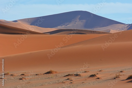 Sanddünen im Namib-Naukluft-Nationalpark