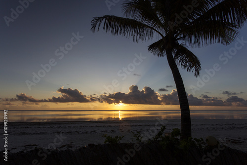 Silhouette of palm tree over a beautiful and colorful sunrise on