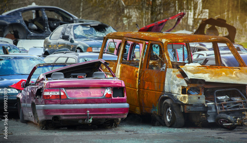 junk yard with old cars and wreck