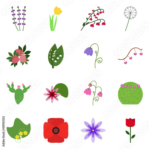 Icon blossom. Vector flowering