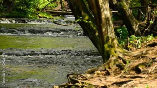 Liczne progi wodne na rzece wśród drzew photo