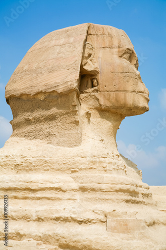 profile face Sphinx in Egypt
