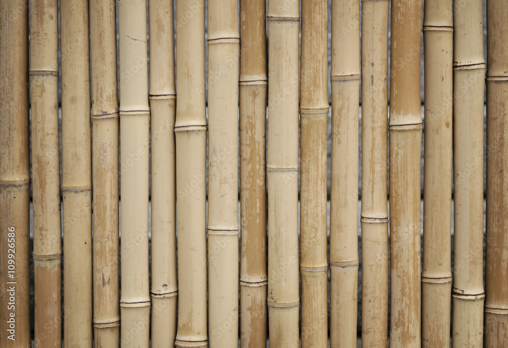 Fototapeta premium Bamboo pattern