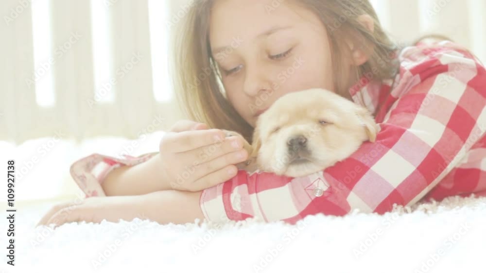 girl with long hair and labrador puppy girl with long hair and labrador puppy