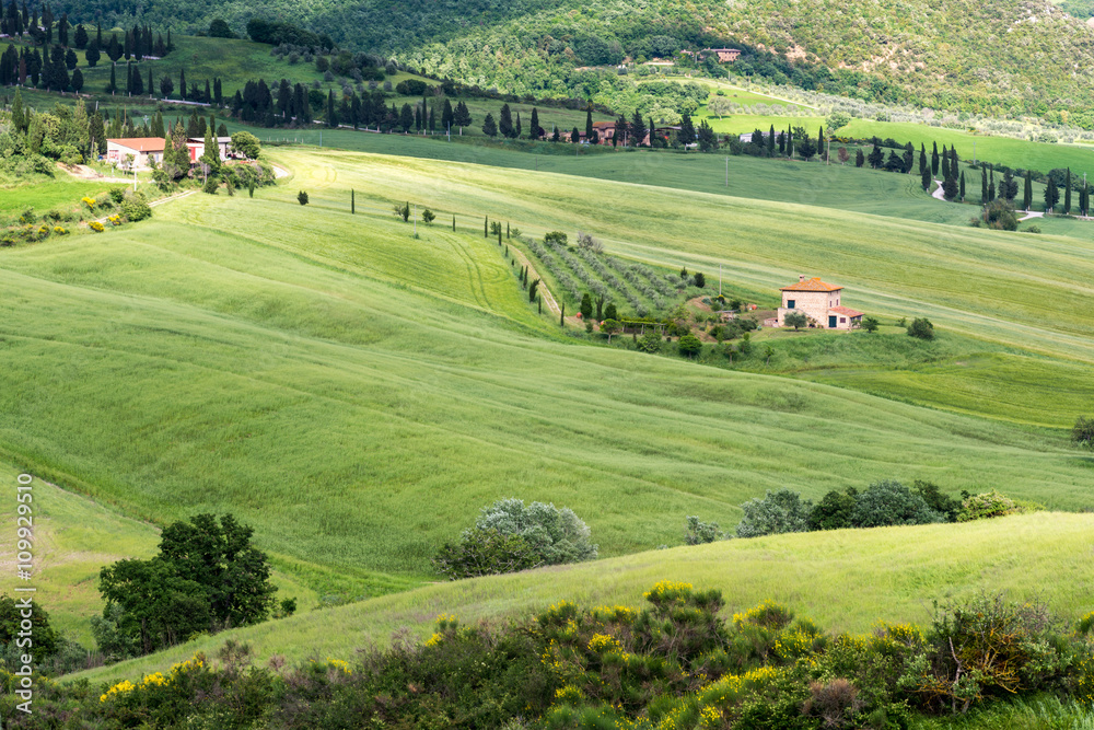 Farm in Val d'Orcia Tuscany