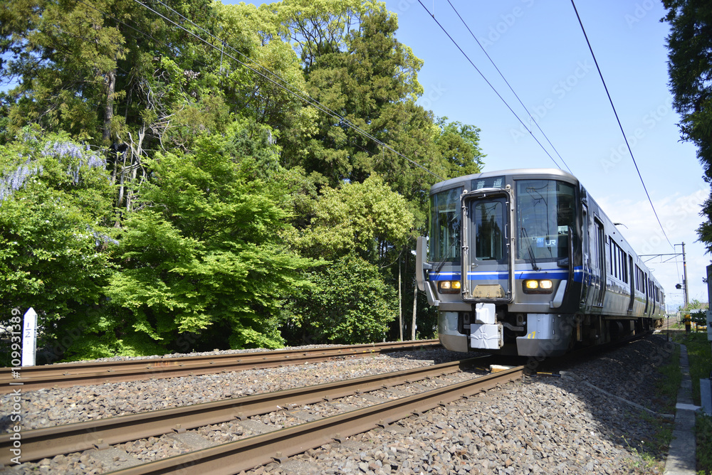 Naklejka premium 鉄道