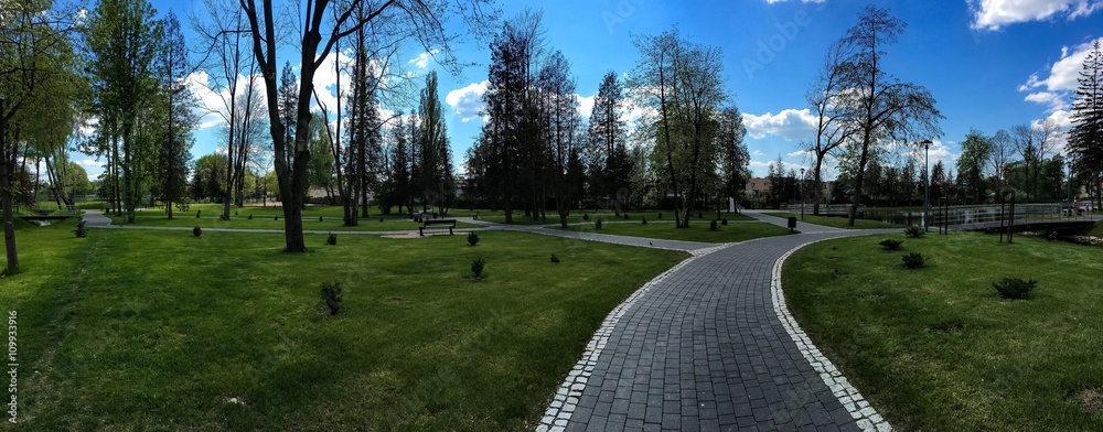Naklejka premium panorama parku drzewa i ścieżka