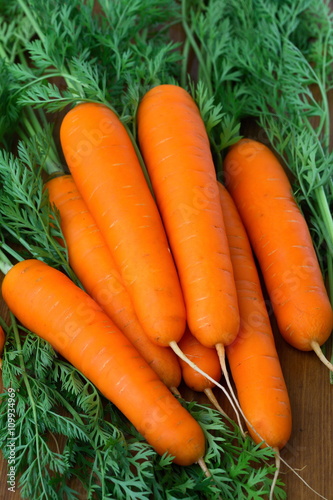 Fresh carrots with green leaves
