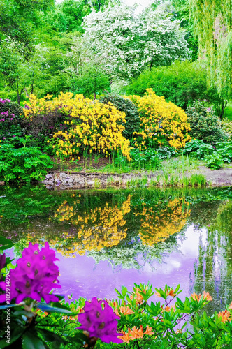 Lush vegetation by the pond