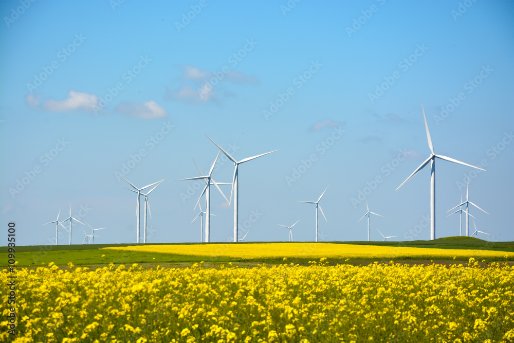 Wind energy turbine landscape Wind energy turbine landscape
