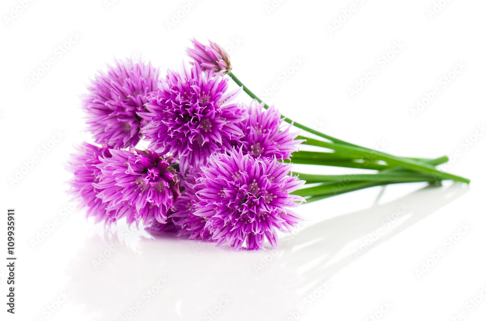 bunch Flowering onions isolated on white background bunch Flowering onions isolated on white background