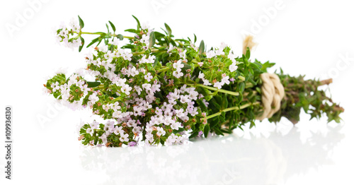 Thyme isolated on white background.