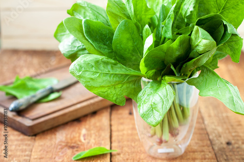 Fresh spinach in a glass photo