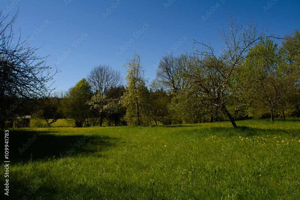 Obraz premium Frühling in Bayern