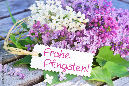 Frohe Pfingsten!, Schild mit Schrift, Flieder lila und weiss, Copyspace