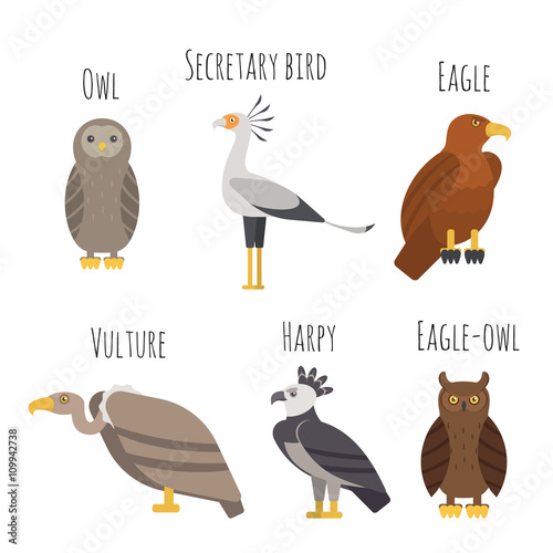 Vector set of Colorful birds of prey icons. Owl, vulture, eagle