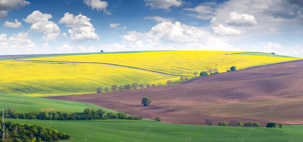 Spring Landscape of fields in colorful hills