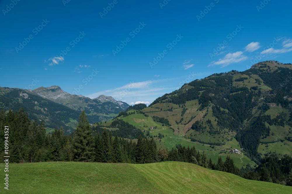 Alm Wiesen in den Alpen bei Grossarl
