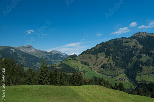Alm Wiesen in den Alpen bei Grossarl