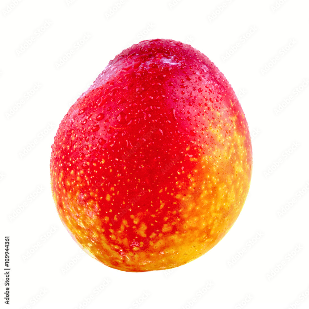 Red orange plum on a white background Red orange plum on a white background