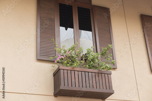 Photography wooden window decorating with flowerpot