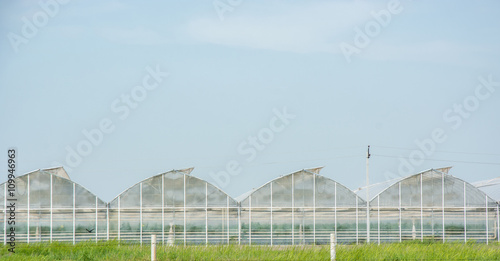 greenhouses for growing vegetables © panzer25