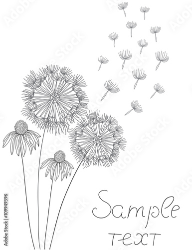 dandelion fluff flies away on a white background