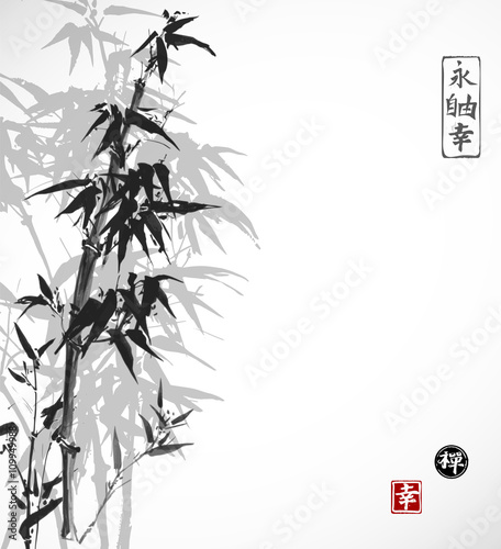 Card with bamboo on white background in sumi-e style. Hand-drawn with ink. Contains hieroglyph - happiness, luck